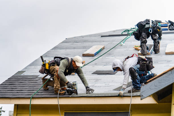 Professional Storm Damage Roof Repair technician working in Enka, NC